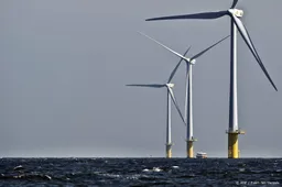 Shell en Eneco negeerden advies vogels te beschermen bij windpark