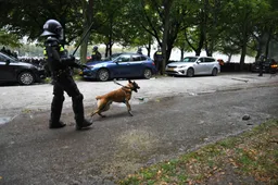 Woke-gekte slaat door: Dierenbescherming wil politiehond cancellen want 'hij heeft eigenwaarde'