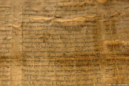 Israël brengt uit voorzorg Dode Zeerol naar veilige locatie