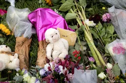 Politiemedewerkers uit hele land zochten informatie over Lisa