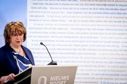 Hamer: kabinet moet meer doen tegen geweld tegen vrouwen