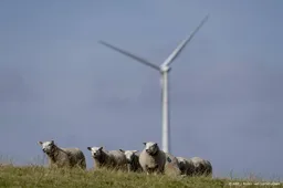Groene Hart met 'hakken in zand' tegen windmolens verkiezingen in