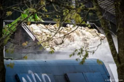 Onderzoekers vinden oorzaak gevaarlijke vogelgriepvarianten