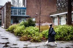 Aanhoudingen na explosie waren bij synagoge in Hillegersberg