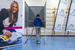 Lokale partijen en D66 populairst bij basisschoolverkiezingen