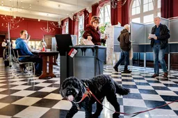 Landelijke opkomst gemeenteraadsverkiezingen 53,7 procent