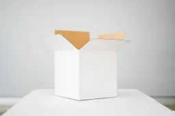 VIV laat zien waarom kartonnen dozen onmisbaar zijn voor elk modern bedrijf