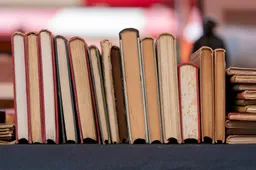 "Heel gênant om naar te kijken": Opiniemaker Mark Koster sloopt Boekenbal