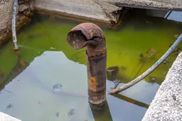 shutterstock_2644047219