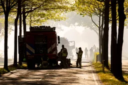 Nederland brandt: Falend natuurbeheer wreekt zich, chaos in Brabant en Limburg door grote natuurbranden
