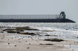 Israël heropent Zikim-grensovergang naar Gaza