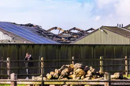 Staatssecretaris wil brandveiligheidskeuringen voor stallen 