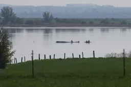 Duitse reddingswerkers houden hoop op bevrijding walvis Timmy