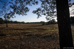 Twaalf blusvoertuigen uitgerukt voor grote natuurbrand in Otterlo