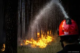 In bijna heel Nederland verhoogd risico op natuurbrand