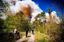 Natuurbrand 't Harde uitzonderlijk groot, blussen kan dagen duren