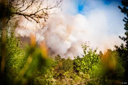 Natuurbrand 't Harde ontstond tijdens oefening op schietterrein