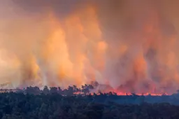 Brand 't Harde nog niet onder controle