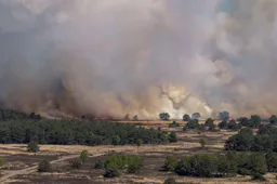Brand militair terrein 't Harde 'helaas niet kleiner geworden'
