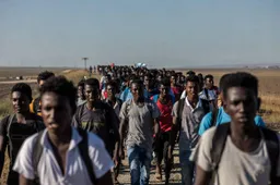 Zwarte Zuid-Afrikanen demonstreren massaal tegen illegale immigratie: “Zijn zij ook extreemrechts en racistisch?”