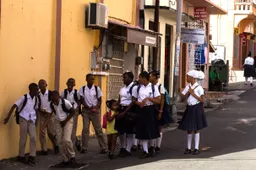 Onderwijsraad eist wéér meer miljoenen voor de Cariben, terwijl ons eigen onderwijs instort