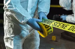 shutterstock_2525418833