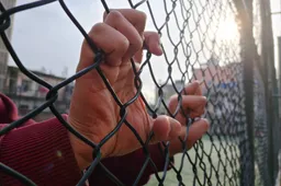 shutterstock_2563534605