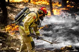 Natuurbrand bij Weert laait op door wind en warmte