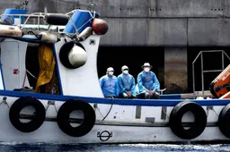 Eerste Nederlanders van cruiseschip Hondius gehaald