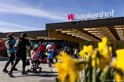 Keukenhof trekt voor vierde jaar op rij 1,4 miljoen bezoekers