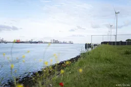 Havenmeester: Hondius komt rond 10.00 uur aan in haven Rotterdam