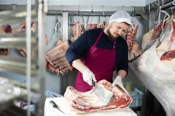 Kabinet vernielt hardwerkende vleessector: Slachterijen vrezen massale sluiting door bizar uitzendverbod