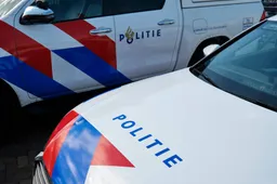 Politie grijpt keihard in na nieuwe explosie van geweld in Nesselande: "meerdere vechtpartijtjes"