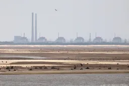 IAEA: lokaal bestand voor reparaties bij kerncentrale Oekraïne