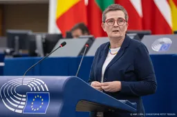 Europarlement rekent op lidstaten voor uitvoering EU-migratiepact