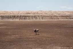 WMO: opwarming raakt Afrika hard, ook gletsjers bijna verdwenen