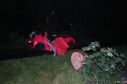 Vrouw omgekomen in Drenthe door boom op auto tijdens storm