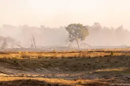Droogte neemt toe door heet en zonnig weer