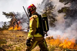 Verhoogd risico op natuurbrand in zeven veiligheidsregio's 