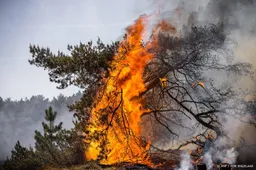 Defensie scherpt regels voor oefenen aan na natuurbranden