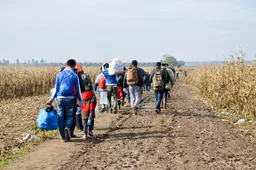 Multiculturele illusie barst in Zuid-Afrika: Explosief anti-immigratiegeweld legt falen open grenzen bloot
