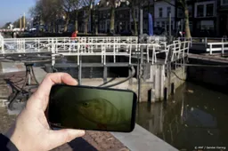 Utrechtse Visdeurbel stopt na 4 maanden met miljoenen views