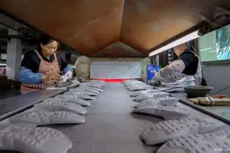 Dodelijke brand in Chinese schoenenfabriek onder controle