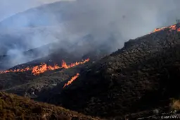 Dodelijke natuurbrand in Zuid-Spanje verwoest 6600 hectare