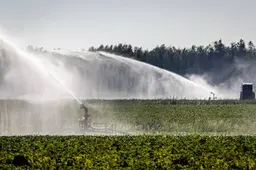 Brabants waterschap verbiedt watergebruik overdag om droogte
