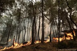 Natuurbranden bij Parijs hebben al ruim 1900 hectare verwoest