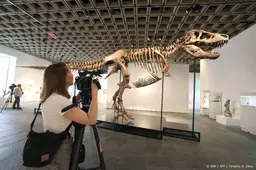 Tyrannosaurus rex geveild voor recordbedrag van 50 miljoen dollar