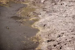 Waterverbod in Limburg en Midden-Brabant uitgebreid om droogte