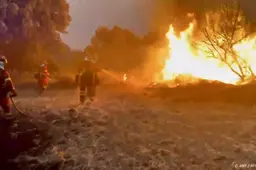 Grootste bosbrand dit jaar in Spanje nog niet onder controle