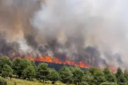 Code oranje in Spanje vanwege extreme hitte en kans op bosbranden